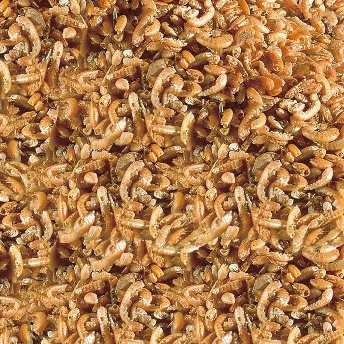 Sera Raffy Nature Pellets
