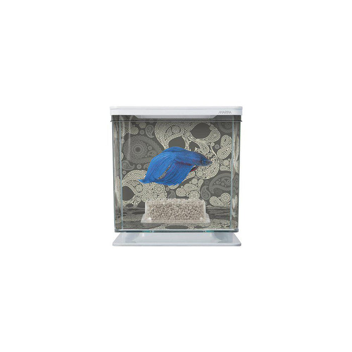 Betta Kit 2l Med Bg & Dekoration