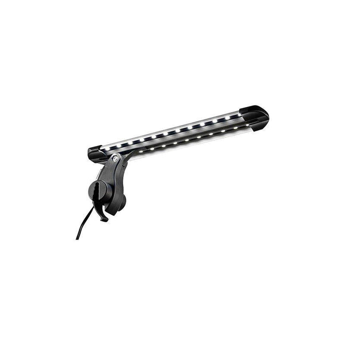 Nanolight Led Intenso