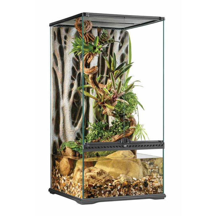 Terrarium Exoterra Rainforest small X-tall