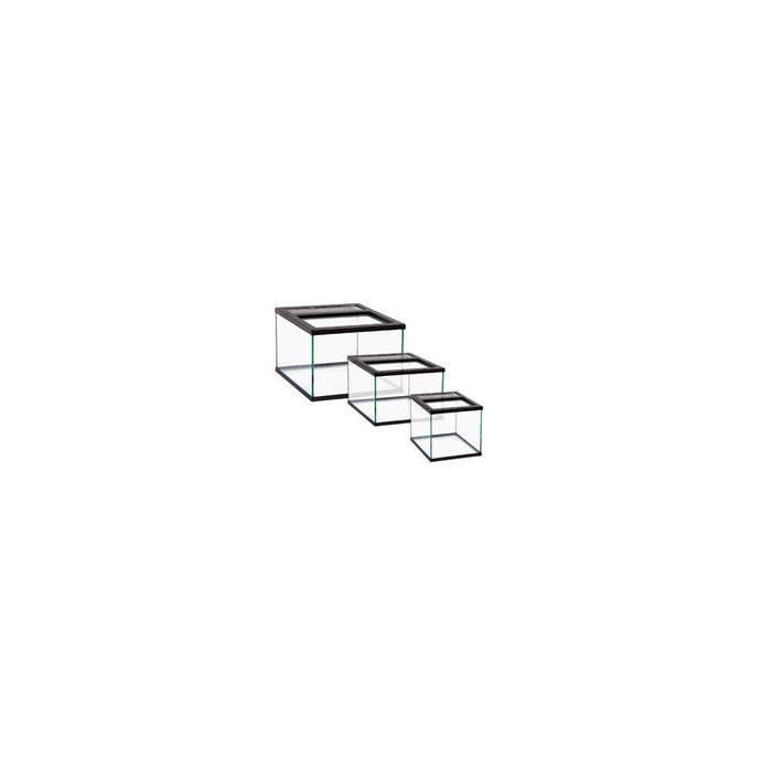 Terrarium Topp
