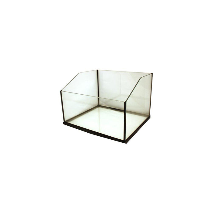 Terrarium Sköldpadds