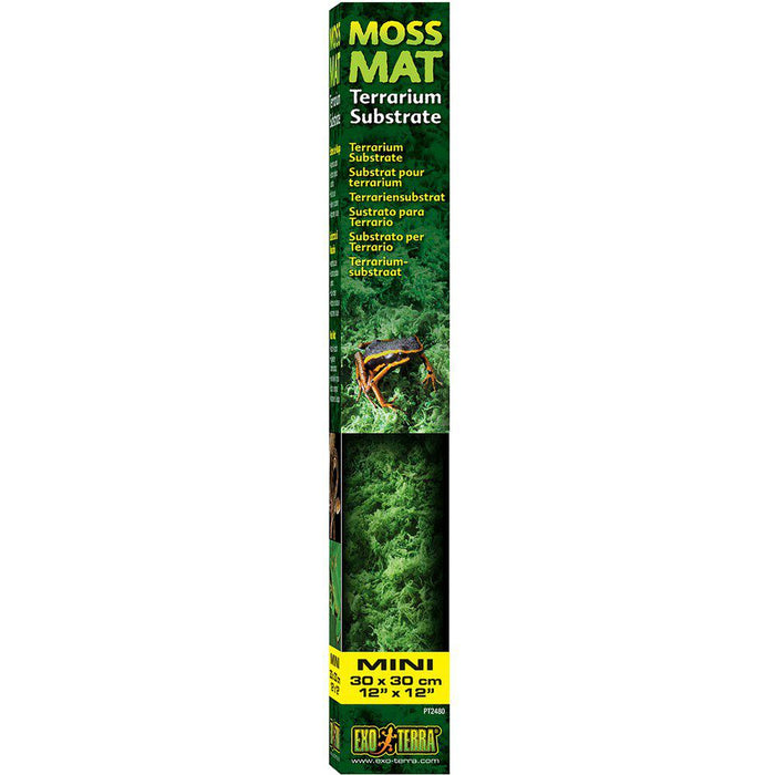 Moss Matta Exoterra