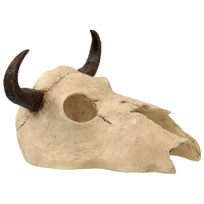 Rp Small Buffalo Skull