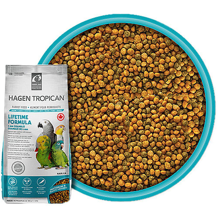 Tropican Underhåll Papegoj