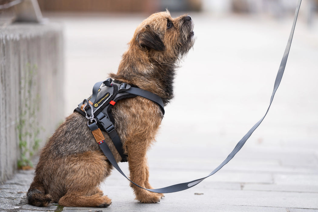 Seleverkstedet Comfort Hundsele - Grå