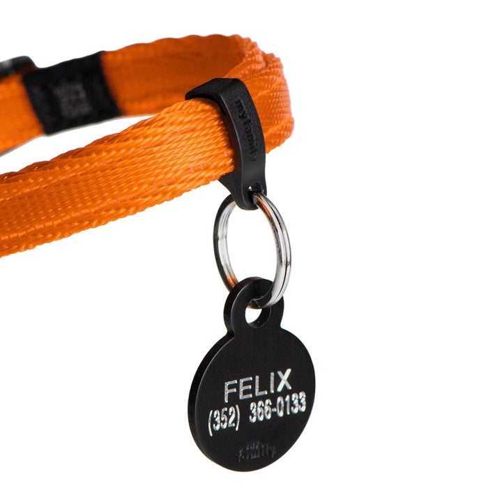 MyFamily Memopet Katthalsband Orange