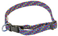Blått valphalsband med prickar, justerbart med klicklås, perfekt som första halsband för valpar, maxlängd 35 cm.