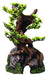 Bonsaiträd På Sten 19cm Polyester