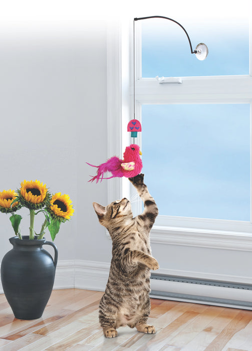 KONG Leksak Window Teaser Bird
