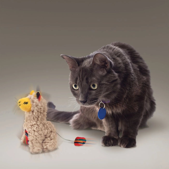 KONG Leksak Softies Buzzy Llama