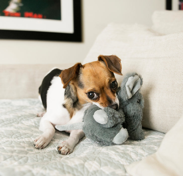 KONG Leksak Comfort Kiddos Elephant
