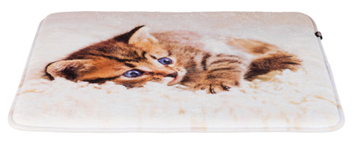 Mysig och snygg kattdyna med fototryck, mjuk plyschklädsel och anti-glid botten. Perfekt för katter av alla storlekar.