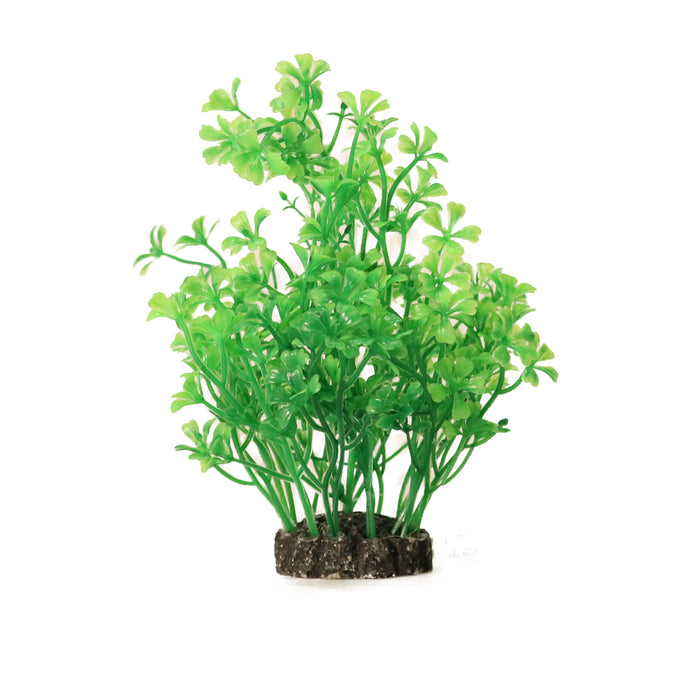 Aquael Dekorväxt 15cm