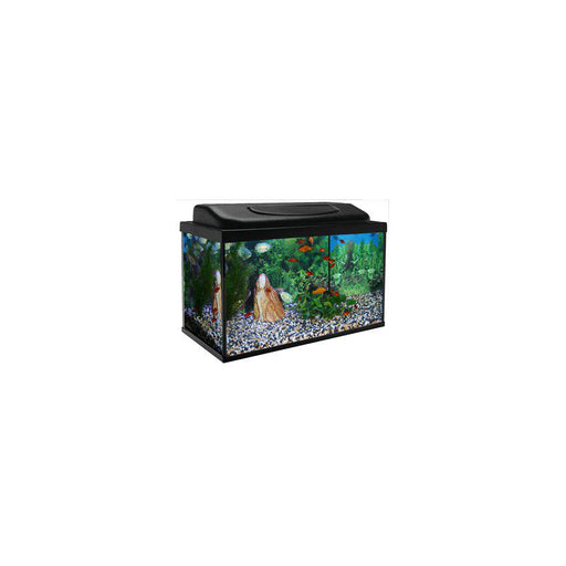 Akvarium Pacific 19-120l Med Svart Fmp. Ramp