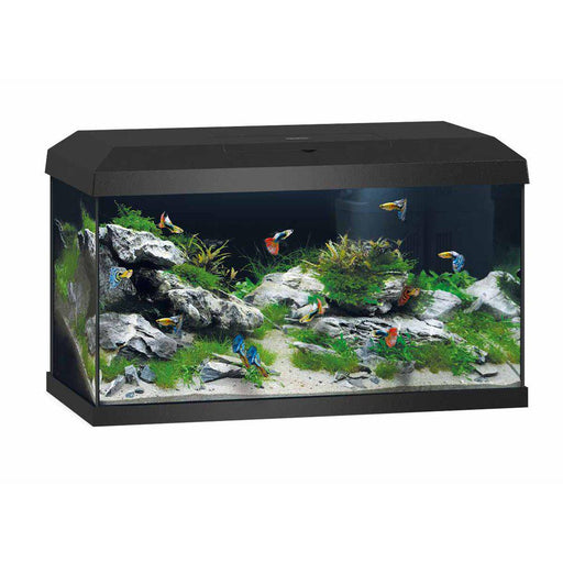 Juwel Akvarium Primo 60 Svart 2.0 Ca 60 L