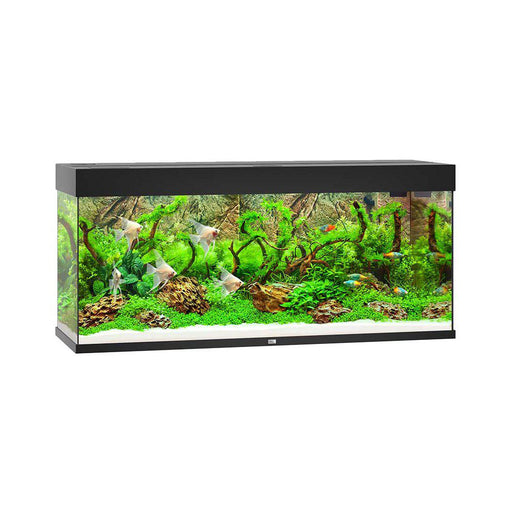 JUWEL AKVARIUM LED RIO 240 L