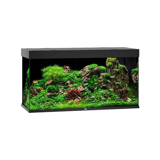 JUWEL AKVARIUM LED RIO 350 L