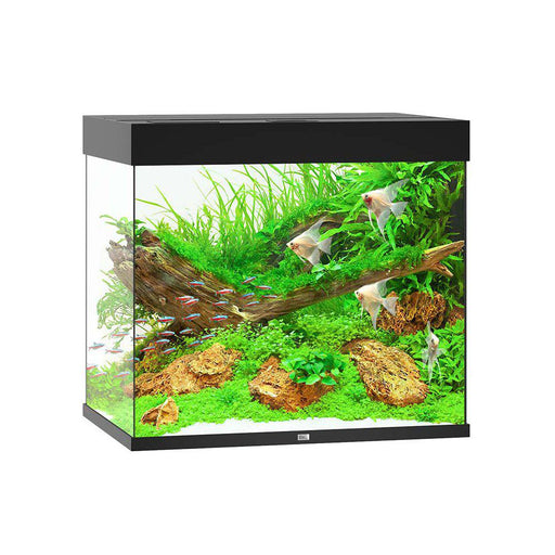 JUWEL AKVARIUM LED LIDO 200 L