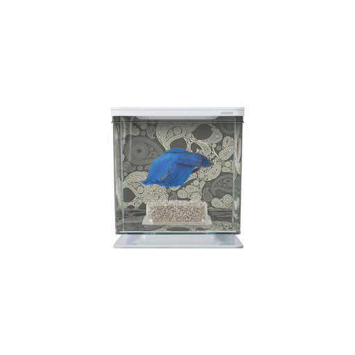 Betta Kit 2l Med Bg & Dekoration