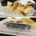 Plast Terrarie Cricket Pen