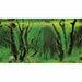 Bakgrund Canyon/woodland Rulle