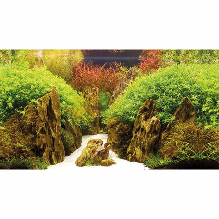 Bakgrund Canyon/woodland Rulle
