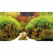 Bakgrund Canyon/woodland Rulle