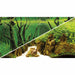 Bakgrund Canyon/woodland Rulle