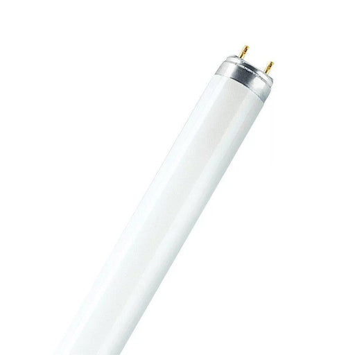 Lysrör Dagljus Daylight T8