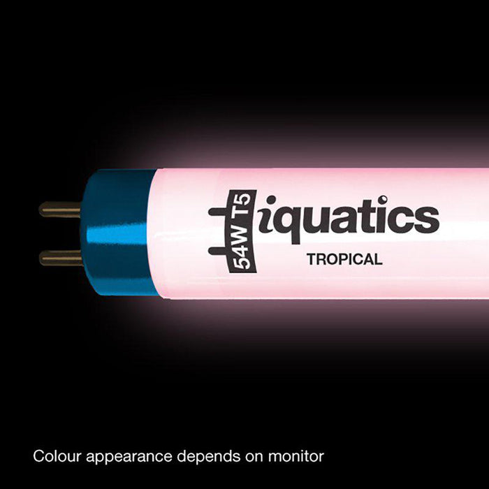 Iquatics Lysrör T5 Tropical Juwel Komp.