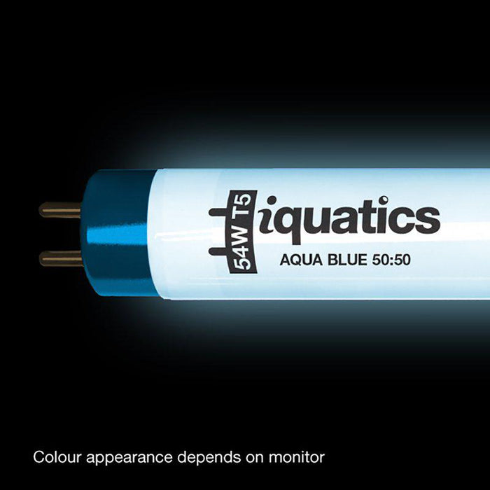 Iquatics Lysrör T5 50:50 Blue Juwel Komp.
