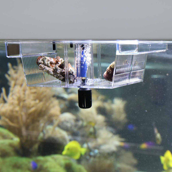 Jbl Babyhome Pro Air Spawning Box For Air Stone 20x9,8x9,8cm
