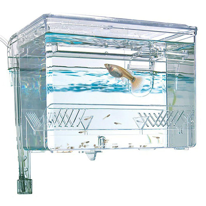 Breeding Box Hang On Fluval 1.1l