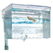 Breeding Box Hang On Fluval 1.1l