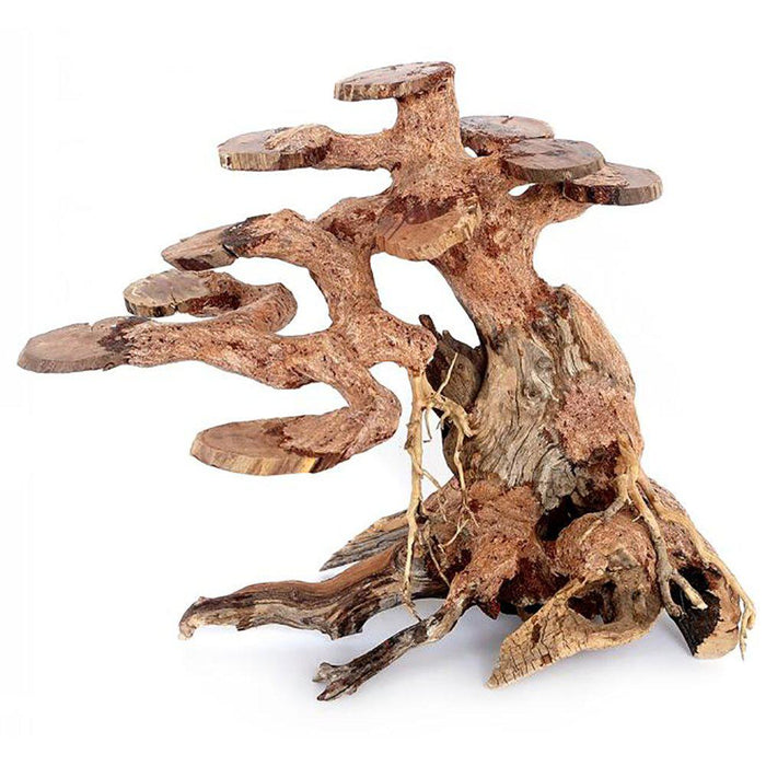 Bonsai Wood