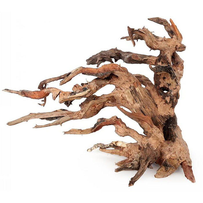 Bonsai Wood