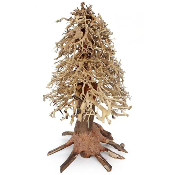 Bonsai Wood