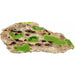 Zolux Kipouss Stone With Live Plant Seeds