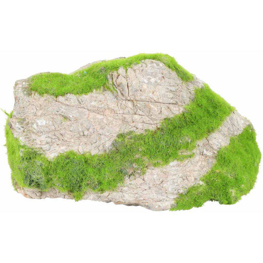 Zolux Kipouss Grey Stone With Live Plant Seeds