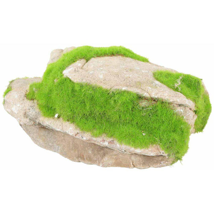 Zolux Kipouss Grey Stone With Live Plant Seeds