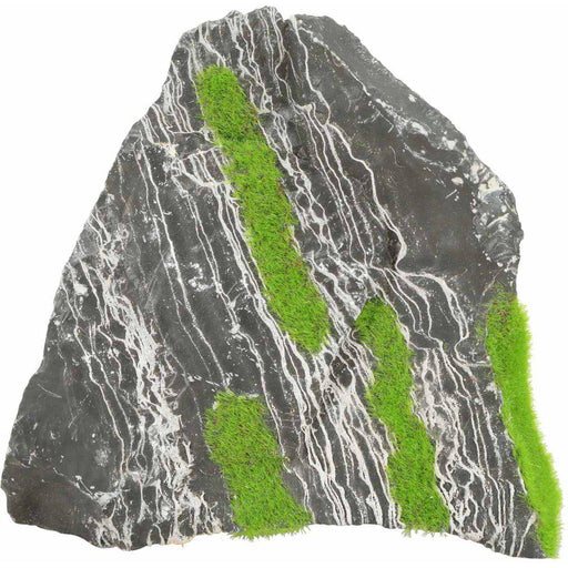 Zolux Kipouss Two Coloured Stone M With Live Plant Seeds