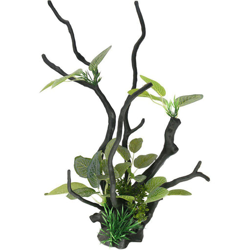 Drivved Planta