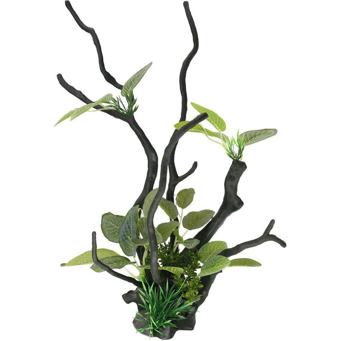 Drivved Planta