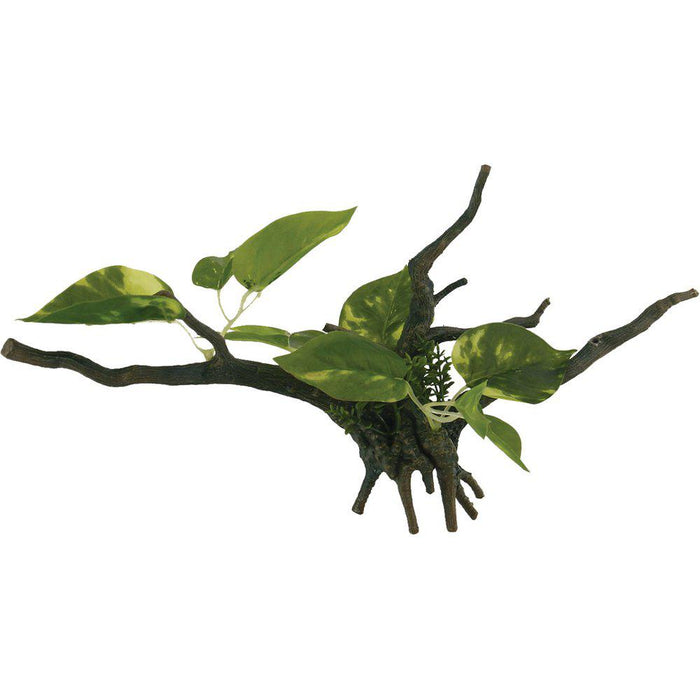Drivved Planta