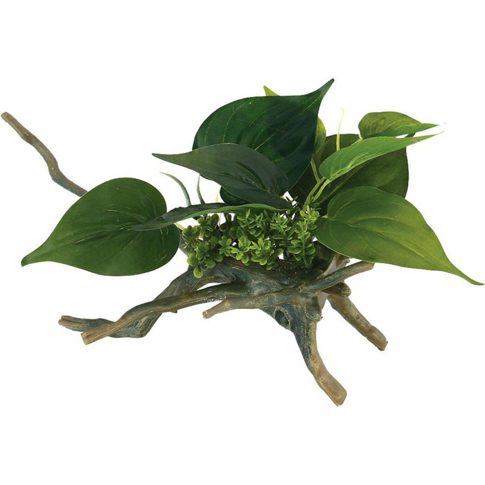 Drivved Planta