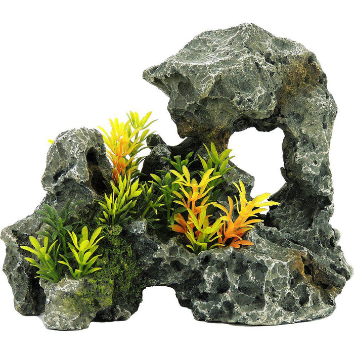 Rock With Plants