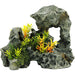 Rock With Plants