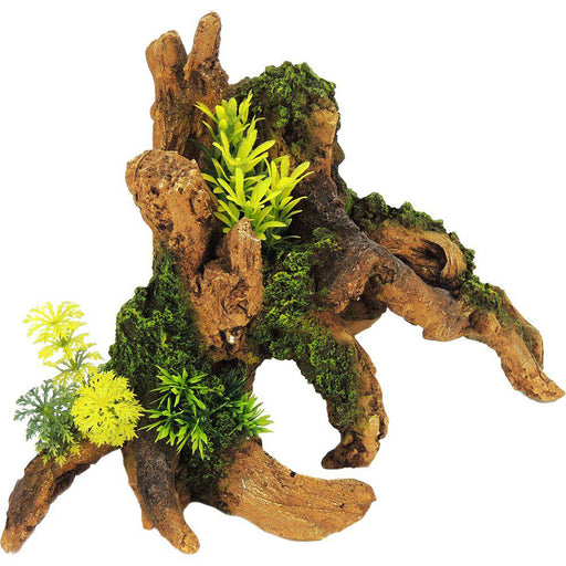 Driftwood With Plants