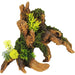 Driftwood With Plants